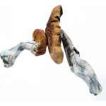 Buy Blue Meanie Mushroom online