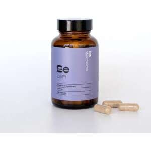 mushroom capsules for energy