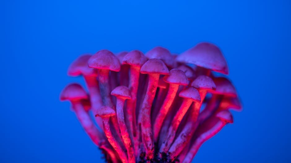 psychedelic research chemicals
